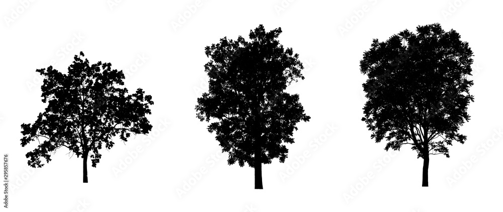 Poster isolated set of trees silhouette for brush collection on white backdrop