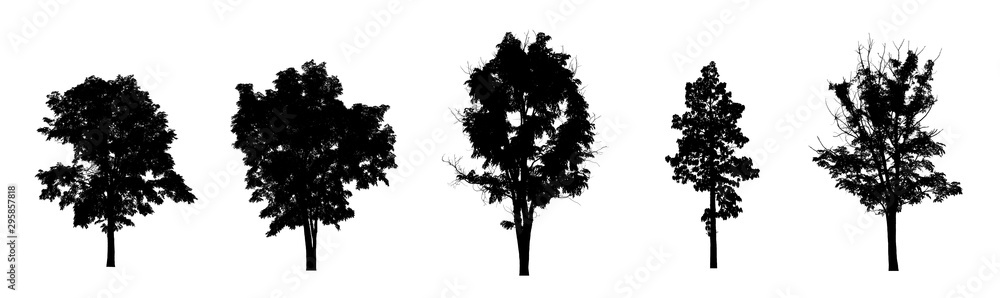 Poster isolated set of trees silhouette for brush collection on white backdrop