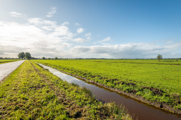 Dutch polder landscape in autumn