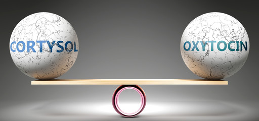 Cortysol and oxytocin in balance - pictured as balanced balls on scale that symbolize harmony and equity between Cortysol and oxytocin that is good and beneficial., 3d illustration