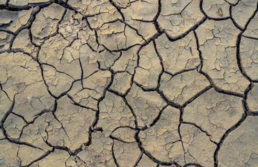 Climate change and drought land. Water crisis. Arid climate. Crack soil. Global warming. Environment problem. Nature disaster. Dry soil texture background. Dry and cracked skin need moisture concept.