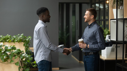 African and caucasian ethnicity colleagues greet together shaking hands