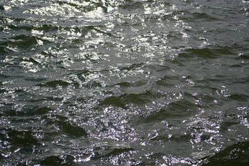 sun glare on the water. copy space