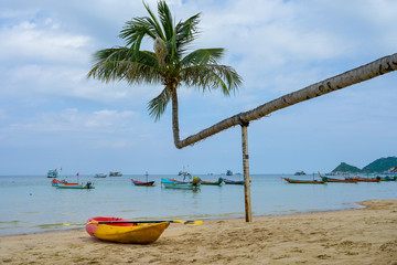 Fototapeta na wymiar Colorful kayaks parking on tropical beach with coconut tree koh tao Island, Thailand