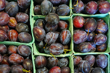 Containers of purple Italian plums in the fall