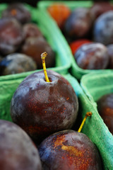 Containers of purple Italian plums in the fall