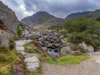 Mountain Landscape in North Wales