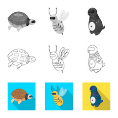 Vector design of toy and science icon. Set of toy and toy stock symbol for web.