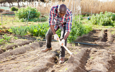 Gardener tilling soil at homestead