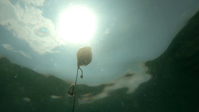 Underwater view of protective floats on the rope on the beach in the water