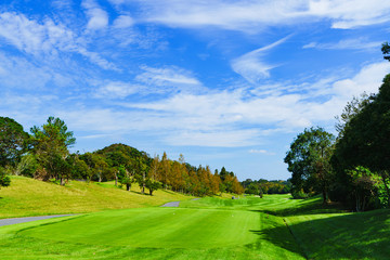 Obraz premium ゴルフ ゴルフコース フェアウェイ ラウンド 青空 戦略 ビジネス マナー マネジメント ルート