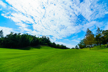 ゴルフ ゴルフコース フェアウェイ ラウンド 青空 戦略 ビジネス マナー マネジメント ルート