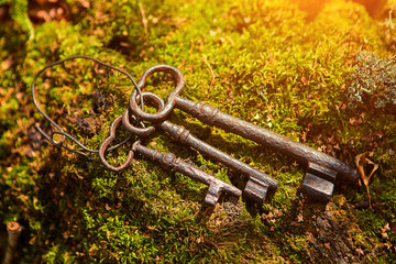 A bunch of old iron keys lying on The forest moss, close-up