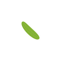 flat Cucumber isolated on white background.