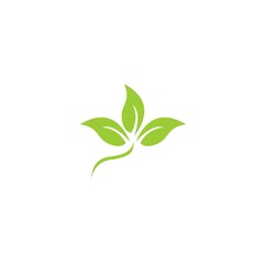 Fototapeta na wymiar Abstract leaf. Circle leaf logo template