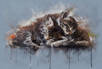Watercolor illustration, Two little tabby cats sleeping together