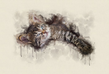 Watercolor illustration, Little tabby cat resting