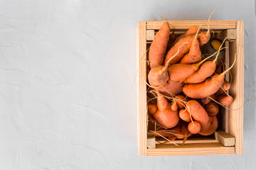 Ugly carrots in a wooden box on a gray concrete background. Top view, close-up, copy space. The concept of proper nutrition, vegetarianism.