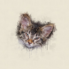 Watercolor illustration, Head of a little tabby cat
