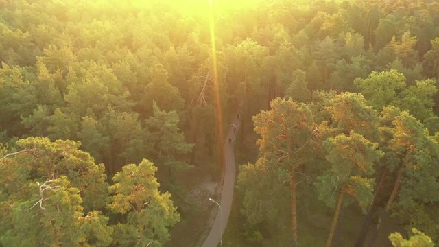 4k Autumn park early in the morning. Aerial drone sho
