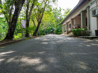 Colorful bicycle are park under the tree,At Sri Nakhon Khuean Khan Park and Botanical Garden in Bangkok Thailand