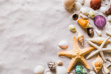 Summer beach with a lot of seashells, starfish and sand as background. Sea shells. Travel and summer concept.