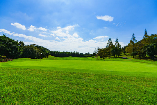 Image of management : landscape of Japanese golf scene in green side ( goal of hole )