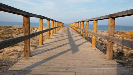 Obraz premium Entrada a la playa de Elche II