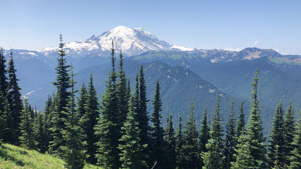 Mountain Rainier from a distance