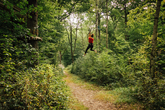 descente en tyrolienne dans la for&ecirc;t