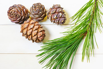 Cedar cone and a branch of Siberian cedar on a light wooden background. The concept of wholesome...