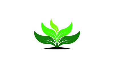 Green eco leaves logo vector illustration