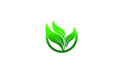 Green eco leaves logo vector illustration