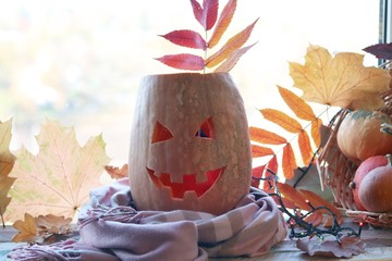Halloween composition from a jack-o-lantern, a warm scarf, pumpkins, illuminations, against the background of a window and autumn leaves, seasonal holidays