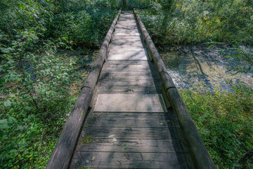 森の中にある橋, トレッキングコース