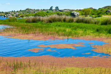 Los Barruecos National Monument, Caceres, Extremadura, Spain, Europe