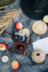 apples and retro camera on nature on a picnic