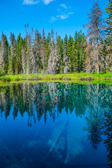 Obraz premium Little Crater Lake, in Clackamas Lake RD of Mt. Hood NF.