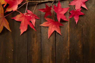 Naklejka na ściany i meble Autumn red leaves on dark wooden backdrop