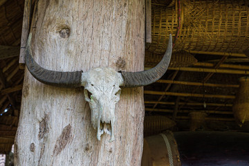 Large buffalo skull head hanging on the wooden pole.