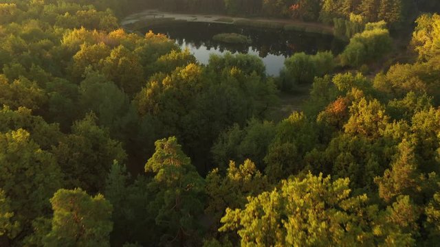 4k Beautiful autumn park with beautiful colorful autumn trees and lake early in the morning. Aerial drone shot
