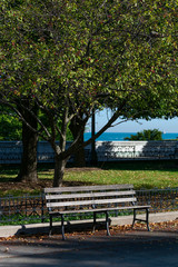 Obraz premium Empty Bench at the Chicago Museum Campus with Trees