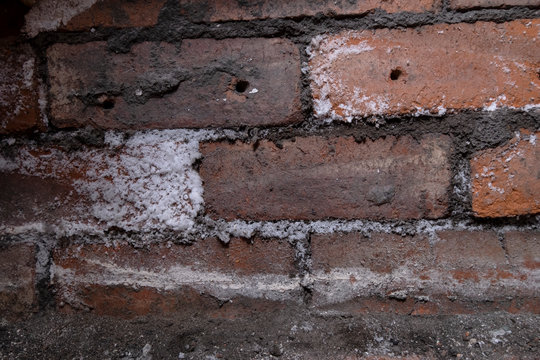 Salt crystal salination, rising damp on old brick wall