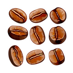 Isolated  watercolor coffee beans vector set