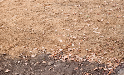 Soil before planting winter crops in autumn
