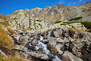 Mountain stream in High Tatras National Park, Slovakia © andras_csontos
