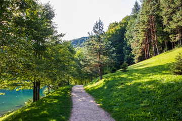 Fototapeta na wymiar Footpath through forest by the Balkana lake in Bosnia and Herzegovina