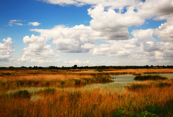 landscape with lake and blue sky