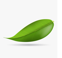 Fototapeta premium Vector 3d illustration of green tea leaf on a white background. Element for design of tea products