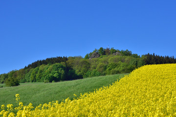Oberoderwitzer Spitzberg im Frühjahr